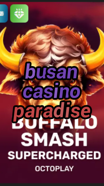 busan casino paradise-w4cy2mdjlx2bf.com